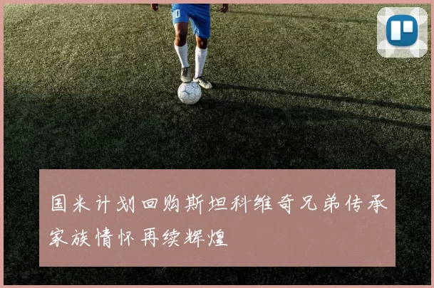 国米计划回购斯坦科维奇兄弟传承家族情怀再续辉煌